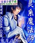 灵系魔法师 灵系魔法师