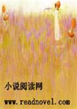 残羽的爱情封面