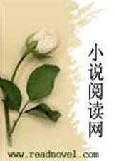 妤情嫕言幽梦封面