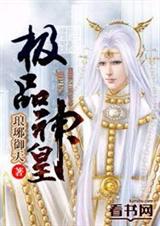 极品神皇封面