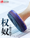 权奴 权奴