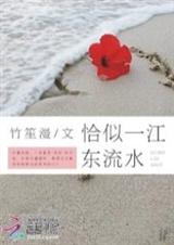 恰似一江东流水封面