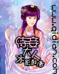 侍妾大人封面