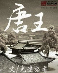 唐王封面