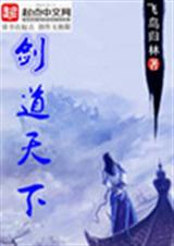 剑道天下封面