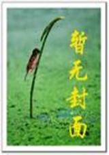 三国轻骑兵封面