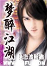 梦醉江湖 全集封面
