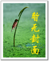 替身老公封面
