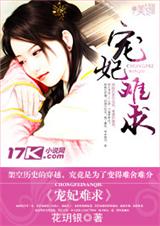 宠妃难求封面
