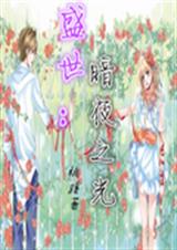 盛世:暗夜之光封面