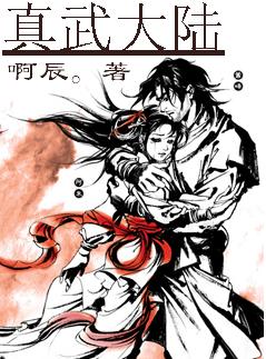 真武大陆封面