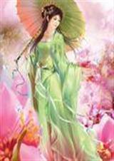 冰皇(女主玄幻仙侠封面