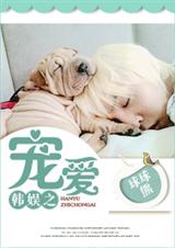 韩娱之宠爱封面