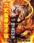 六丈金身攻不破封面