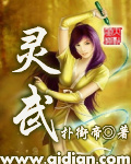 灵武封面