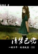 清梦已晚封面