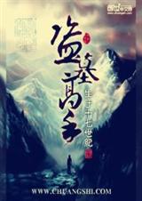 盗墓高手封面