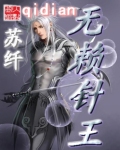 无赖针王封面