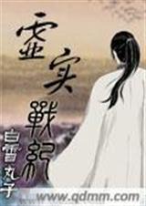 虚实战纪封面