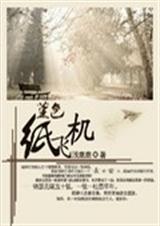 堇色纸飞机封面
