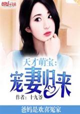 天才萌宝:宠妻归来封面