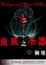 血族之圣器封面