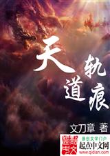天道轨痕封面