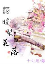 酒暖梨花落封面