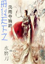 母仪天下之风雨夺嫡封面
