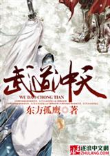 武道冲天封面