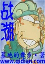 战湖封面