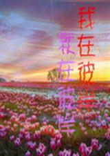 我在彼岸就在彼岸封面
