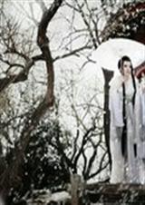 忆景之年妖王妃封面