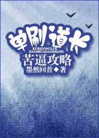单刷道长苦逼攻略封面