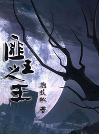 匪王之王封面