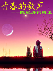 青春的歌声--陈秋诗歌集封面