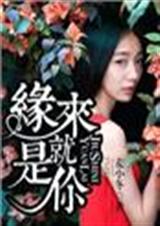 缘来就是你封面