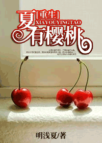 夏有樱桃封面