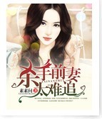 杀手前妻太难追封面