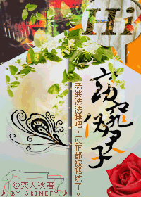 窈窕伪君子封面