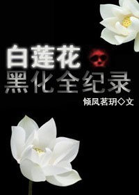 白莲花黑化全纪录封面