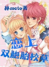 双胞胎校草的女佣情人封面