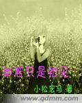 如若只是初见封面