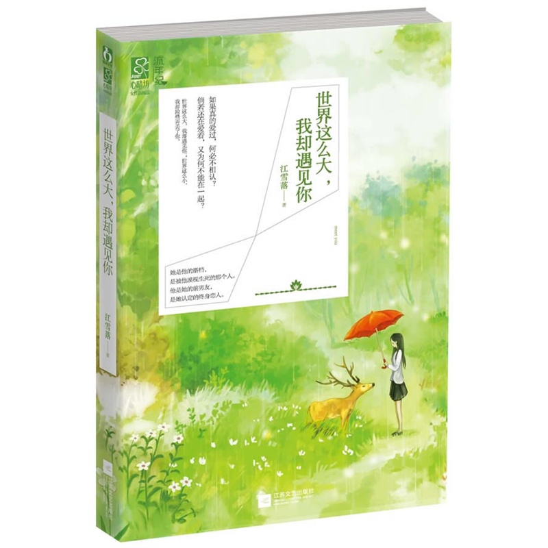 世界这么大,我却遇见你封面