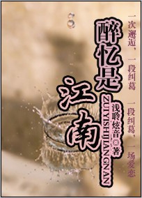 醉忆是江南封面
