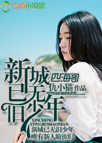 新城已无旧少年封面