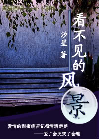 看不见的风景封面