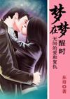 梦在梦醒时封面