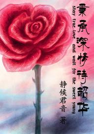 秉承深情待韶华封面