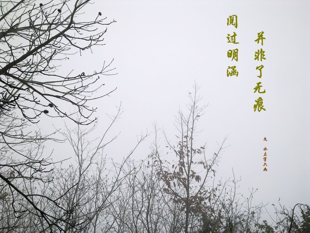 阅过明涵并非了无痕封面